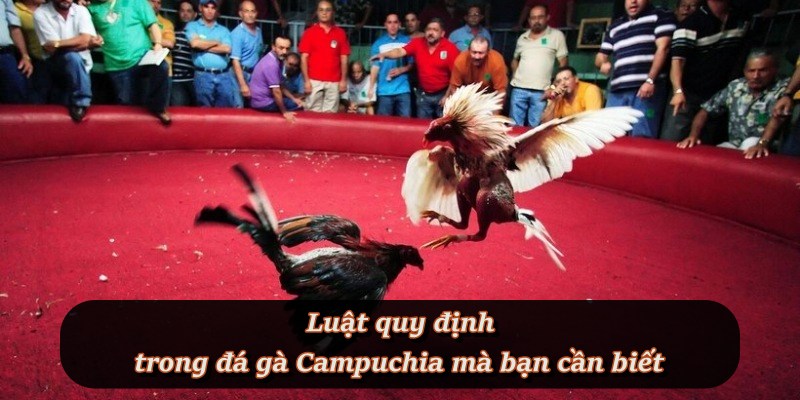 Các quy định quan trọng để cược thủ không bị bỡ ngỡ Các quy định quan trọng để cược thủ không bị bỡ ngỡ