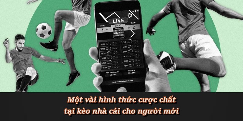 Các loại kèo phổ biến tại F8BET dành cho người mới Các loại kèo phổ biến tại F8BET dành cho người mới